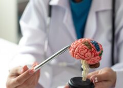 Brain structural differences between fibromyalgia patients and healthy control subjects: a source-based morphometric study