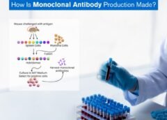 Monoclonal Antibodies (mAbs) for Infectious Diseases