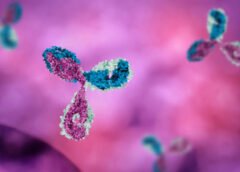 New study shows Fibromyalgia likely the result of autoimmune problems