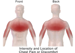 How Do You Know If You Have Fibromyalgia? 7 Signs You Should Seek Treatment